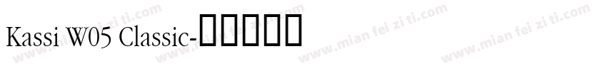 Kassi W05 Classic字体转换